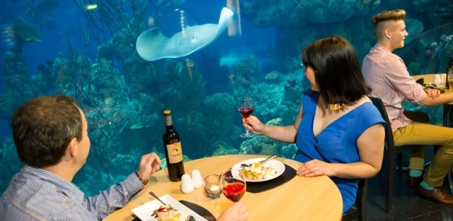 A couple enjoying a meal at The deep restaurant, Hull.