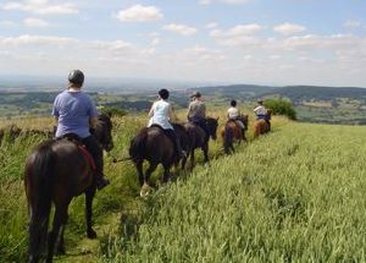 Pony Trekking on the Yorkshire Moors